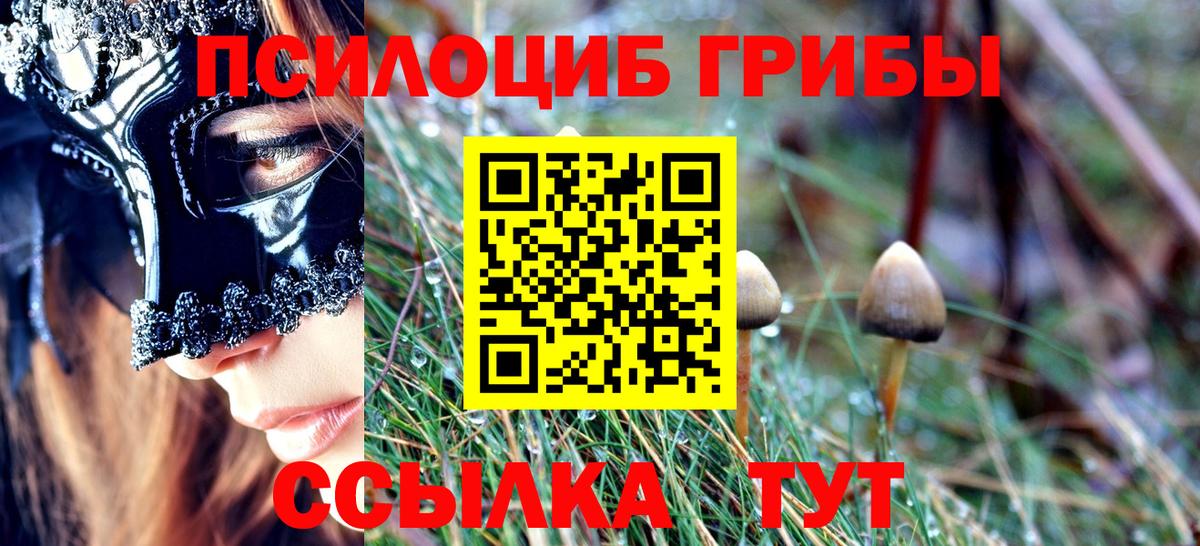 Галлюциногенные грибы Cubensis Назрань
